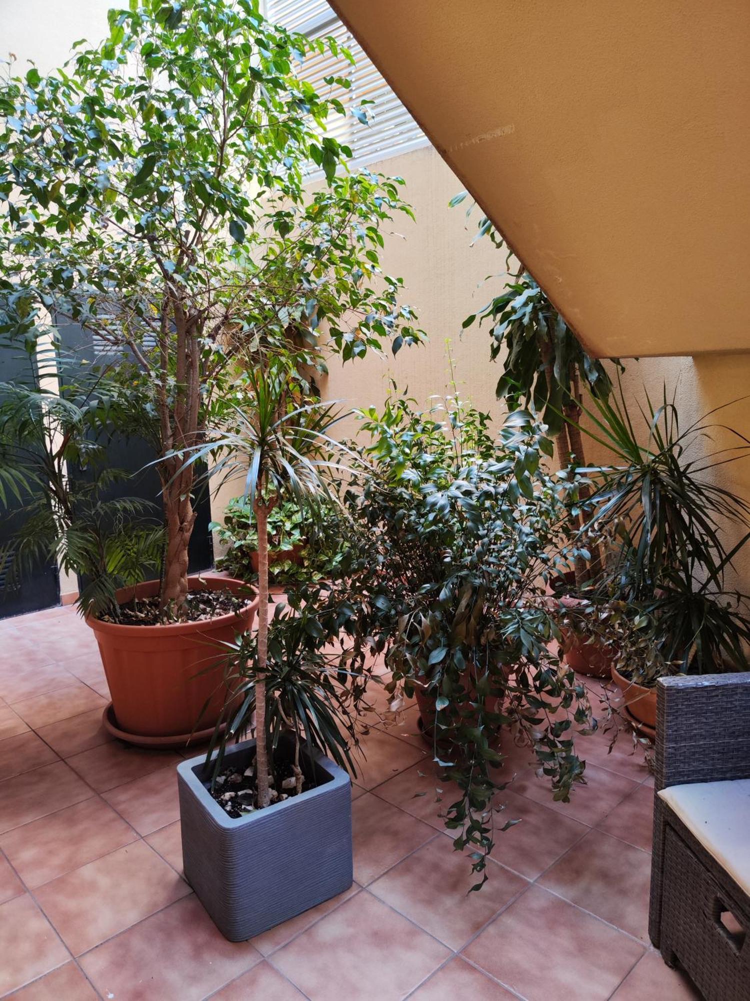 Malaga Experience 아파트 외부 사진